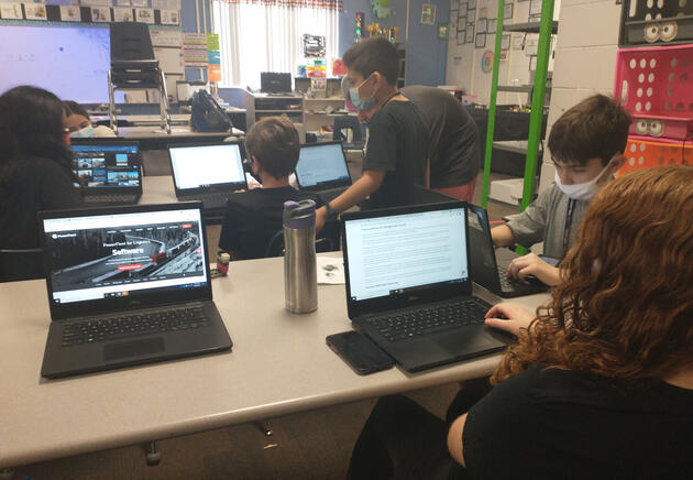 A cartoon alpaca wearing sunglasses with a rainbow above its head.